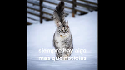 ¡Bienvenidos a un viaje encantador!