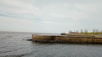 Novia Cumbianchera te prometo canta Giselle Romina Castillo Vargas