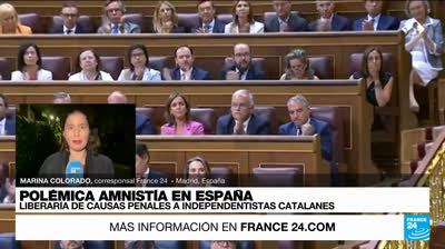 Así es la Ley de Amnistía anunciada por el PSOE